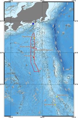 Detection of the Largest Deep-Sea-Endemic Teleost Fish at Depths of Over 2,000 m Through a Combination of eDNA Metabarcoding and Baited Camera Observations